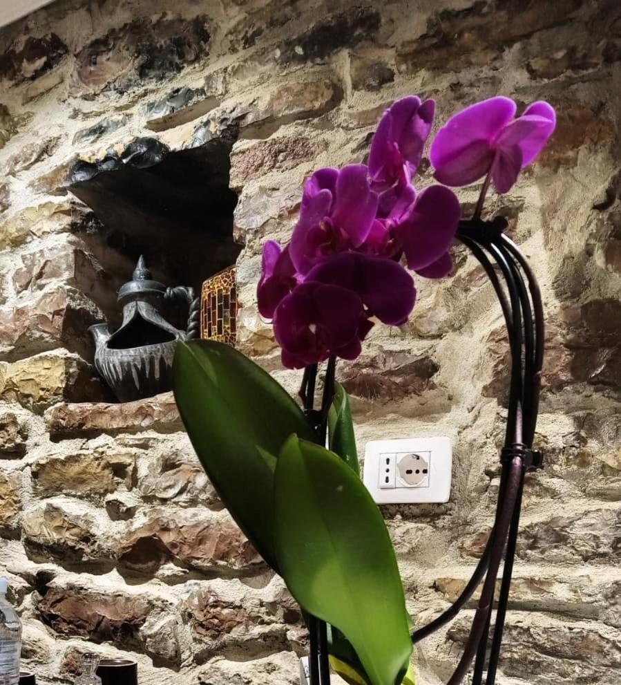 "Villa 70" Guesthouse Gjirokastër 外观 照片
